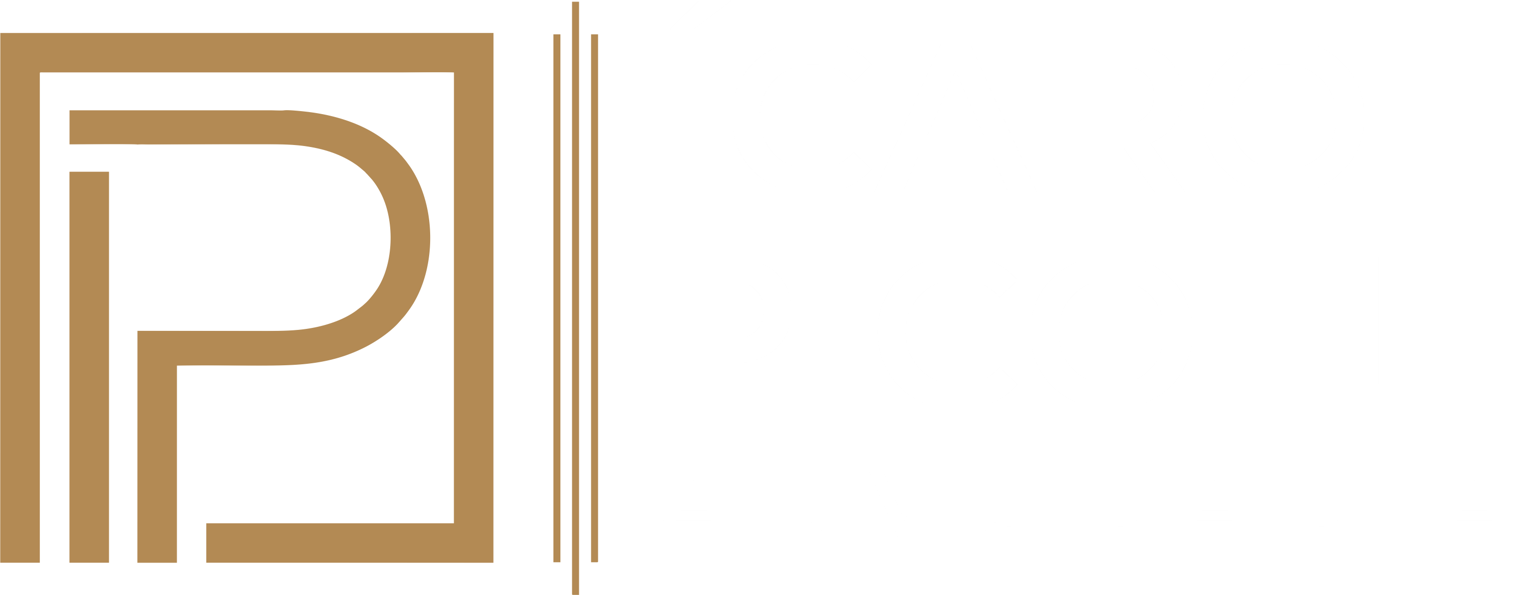 Ícaro Picolli Advocacia